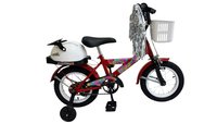 BICI VARON R12               RUEDA RAYOS